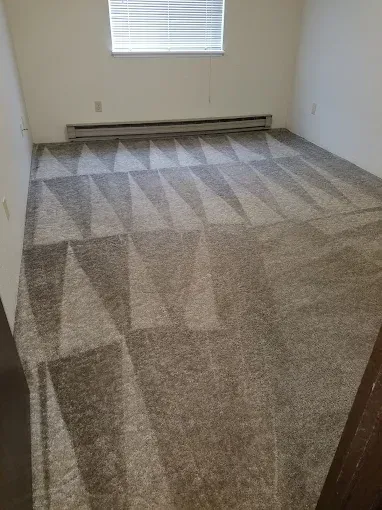Room with grey patterned carpet, a window, and a baseboard heater.