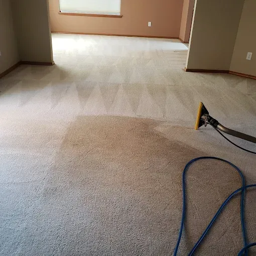 Carpet being cleaned with a machine; one section cleaned, revealing the difference in color.