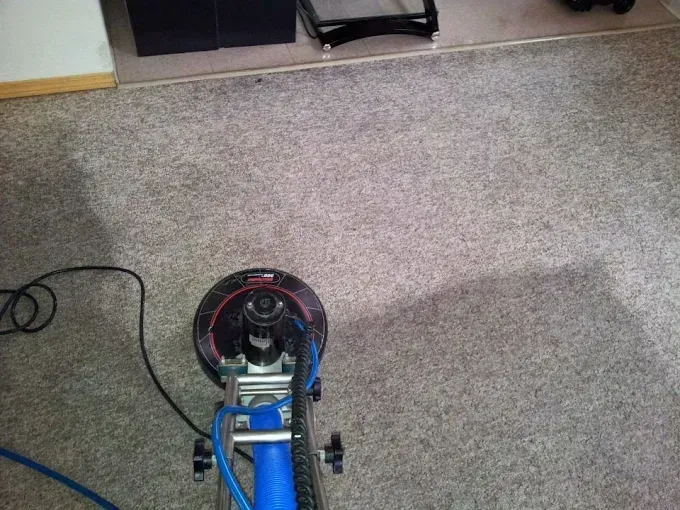 Carpet being cleaned with a blue and black cleaning machine.