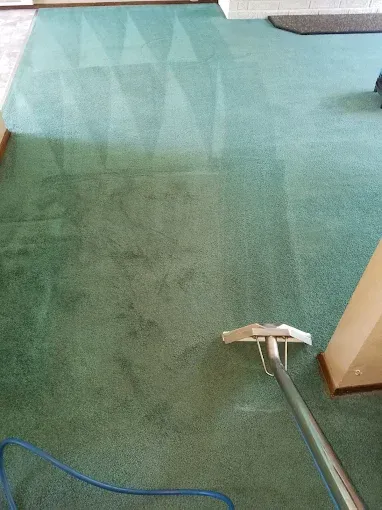 Green carpet being cleaned with a carpet cleaning machine.