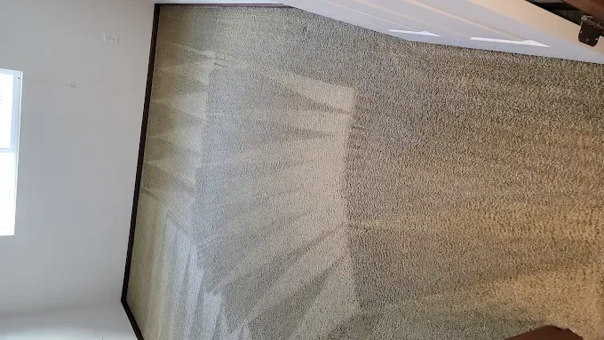 Cleaned carpet with streaks from a machine. Gray carpet next to white walls, window on the left.