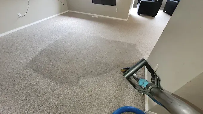 Carpet being cleaned with a machine; visible cleaned area.