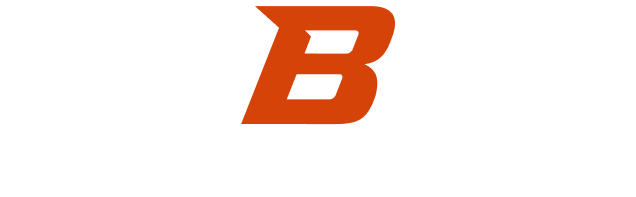 Boise white logo