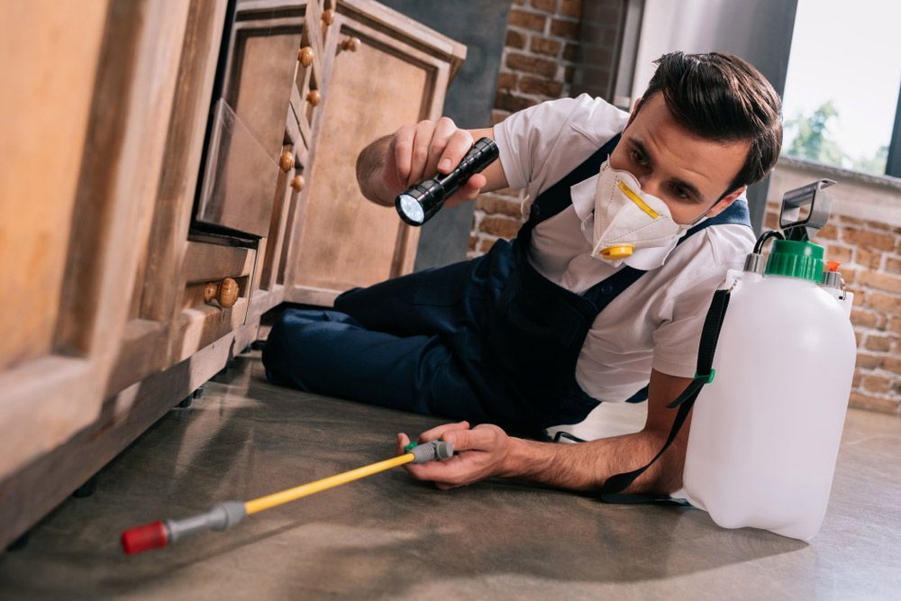 Pest Control Worker Sprayer And Checking On It — Pest Control Services in Tamworth, NSW