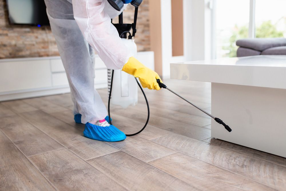 Side Left Exterminator In Work Wear Spraying Pesticide With Sprayer — Pest Control Services in Tamworth, NSW