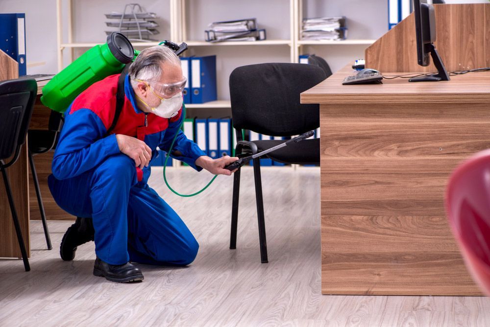 Old Professional Contractor Doing Pest Control — Pest Control Services in Armidale, NSW