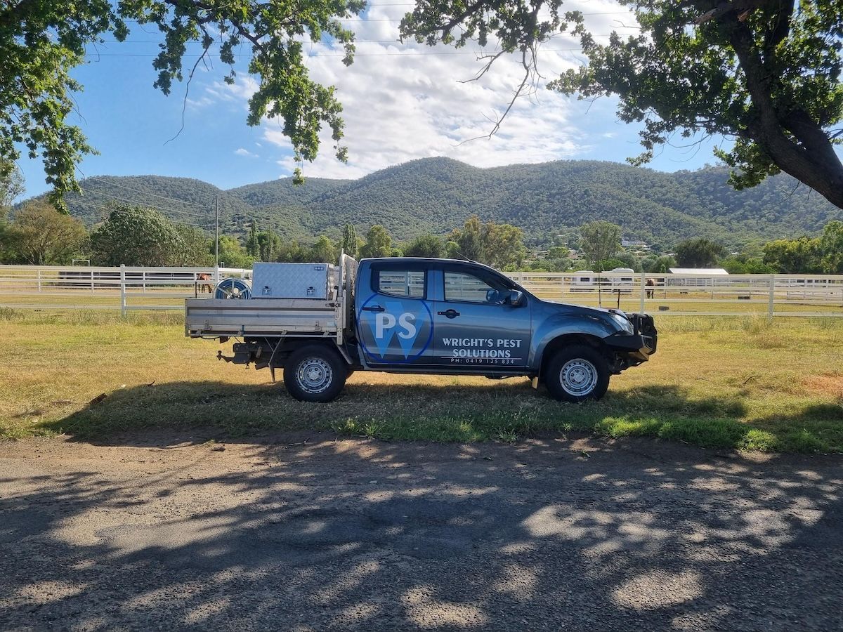Young Male Exterminator Worker Spraying Insecticide Chemical In Kitchen — Pest Control Services in Tamworth
