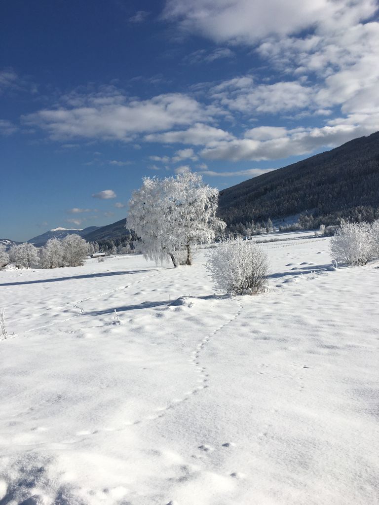 gebirgige Schneelandschaft