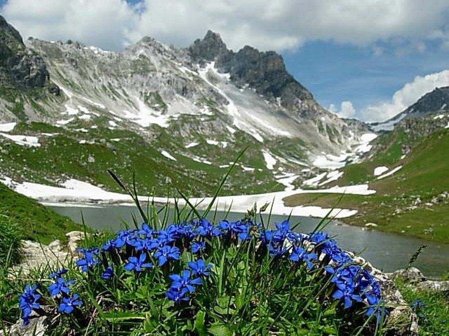 Wohlfühlurlaub mit sommerlichen Wanderungen