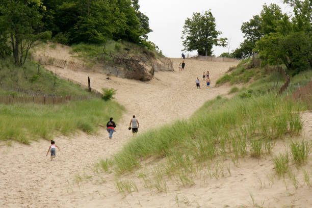 A view of the ocean from a sand dune