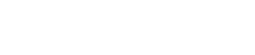 Skin Shop USA logo