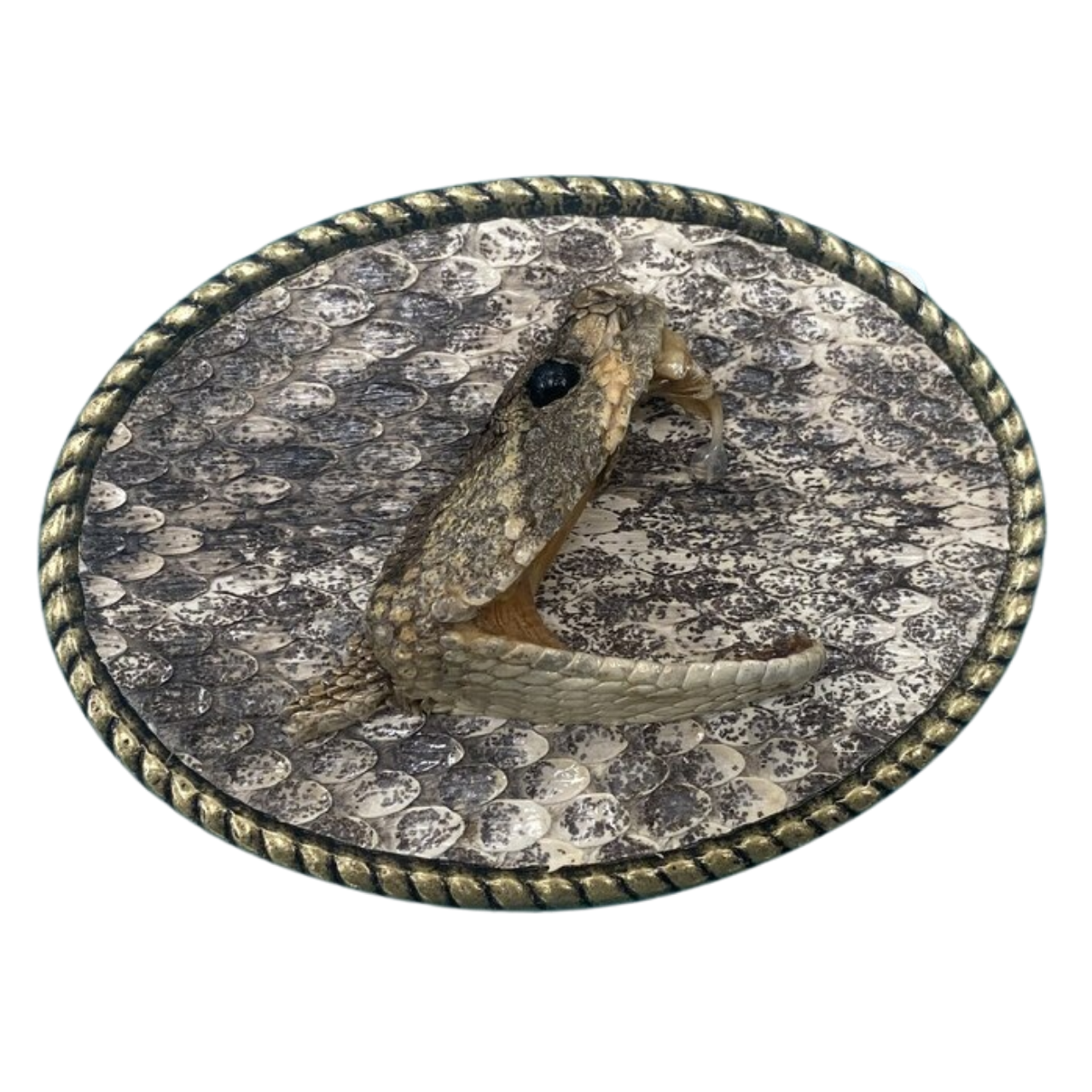 A belt buckle with a picture of a snake on it