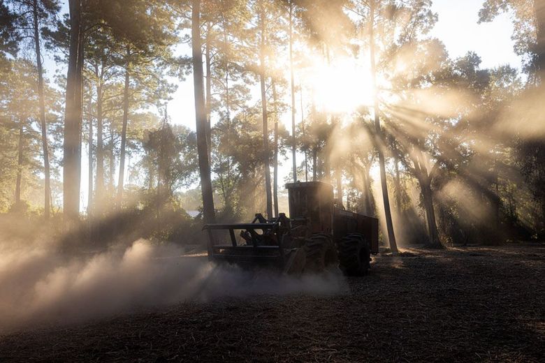 A tractor is driving through a forest with the sun shining through the trees.