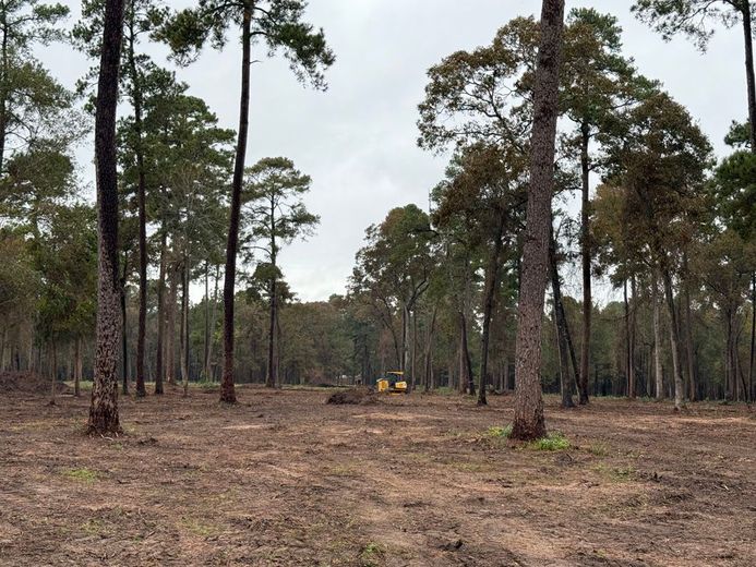 A field filled with trees and dirt with a bulldozer in the background.