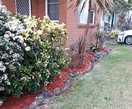 Clean garden — Garden Maintenance in Central Coast, NSW