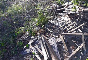 Woods  — Rubbish Removal in Central Coast, NSW