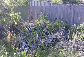 Dried plants — Rubbish Removal in Central Coast, NSW