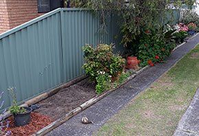 Backyard with gray fence — About Us in Central Coast, NSW