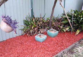 Garden with red grass — About Us in Central Coast, NSW