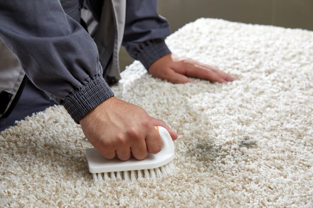 Specialized carpet cleaning Services near me