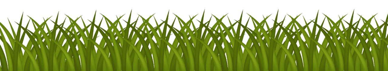 Hierba verde sobre un fondo blanco.