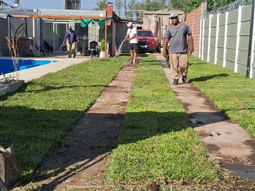 Hombres colocando césped en un patio trasero, cubriendo parcialmente la entrada. Al fondo se ve una piscina.