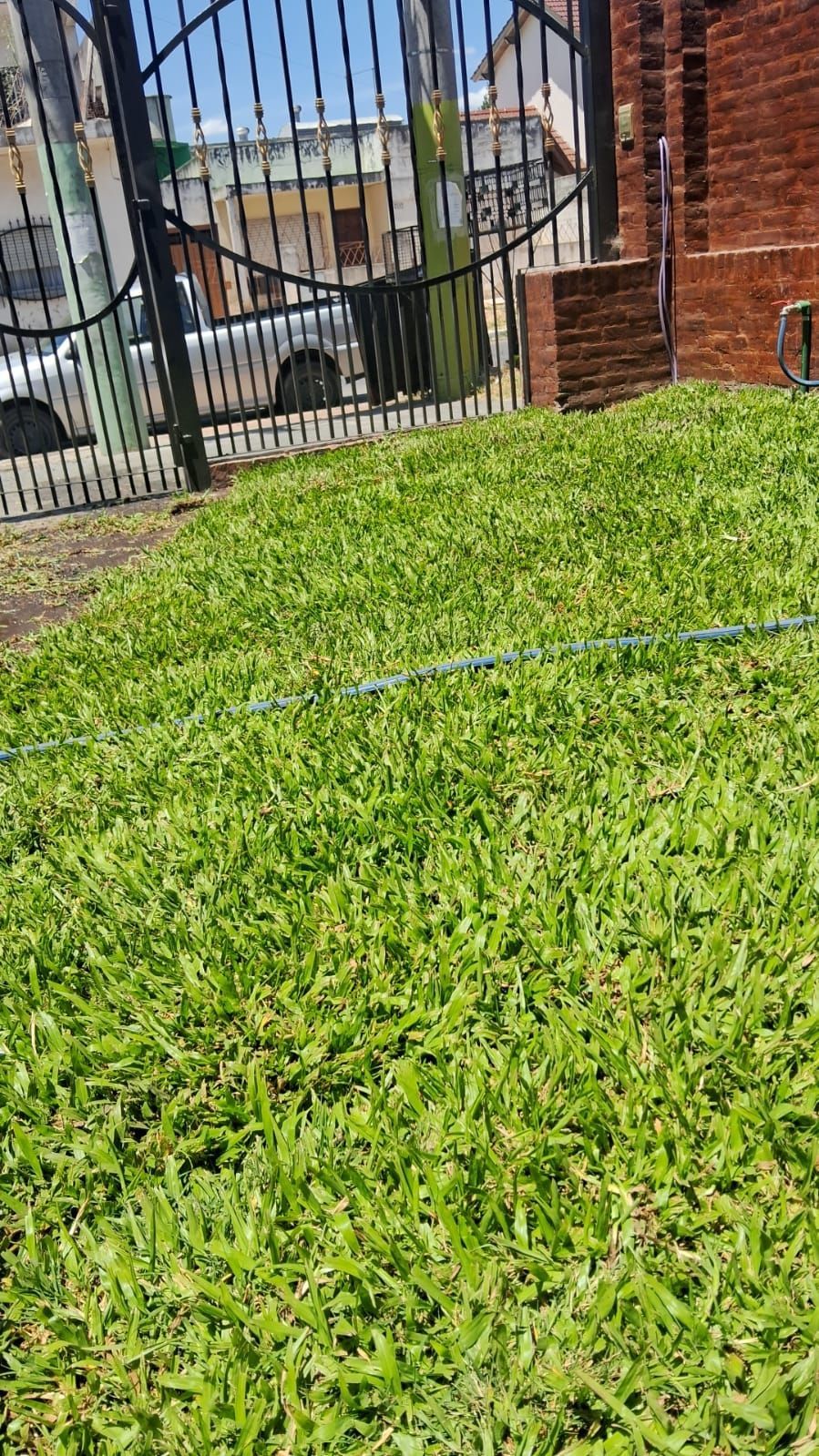 Césped verde delante de una puerta de hierro forjado negro, con un edificio parcialmente visible al fondo.