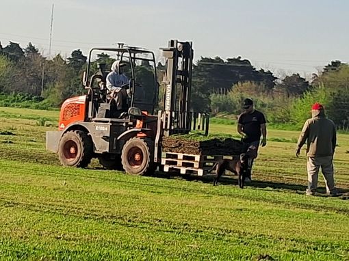 Una carretilla elevadora transportaba césped en un campo, con dos trabajadores cerca. Día soleado, césped verde.