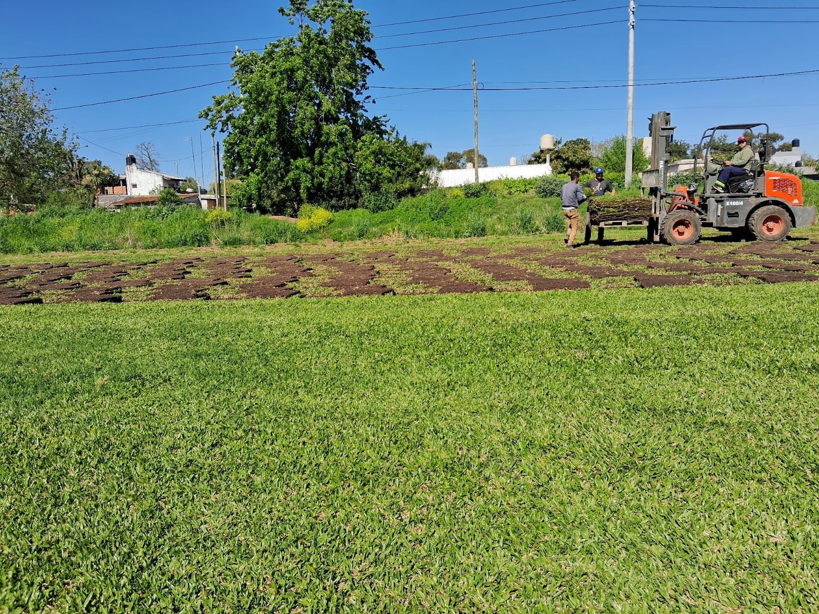 Césped verde delante de una puerta de hierro forjado negro, con un edificio parcialmente visible al fondo.