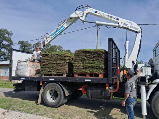 Camión con grúa cargando palés de césped. Dos hombres trabajan en un entorno residencial.