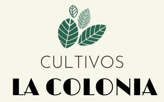 Logotipo para Cultivos La Colonia, con hojas verdes sobre el nombre en negro y beige.