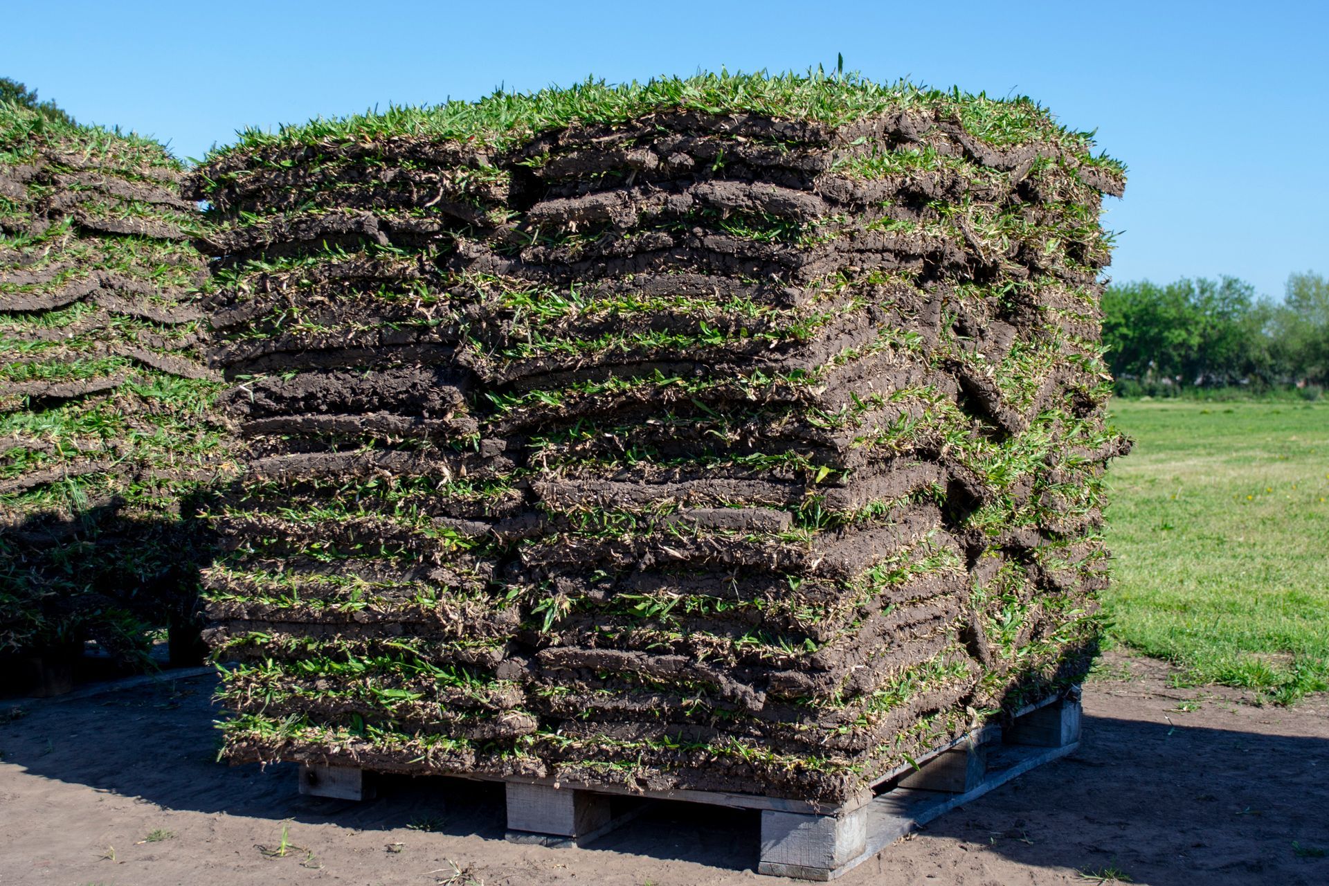 Pila de tepes sobre un palé, lista para instalar, con césped verde y tierra oscura. Al aire libre, bajo la luz del sol.