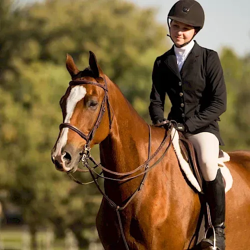 A woman in a black jacket is riding a brown horse