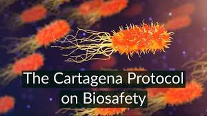 Biotech Awareness -- Cartagena Protocol on Biosafety