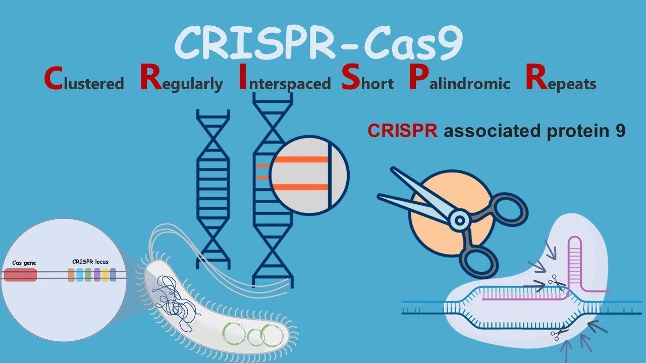 Biotech Awareness -- CRISPR-Cas 9