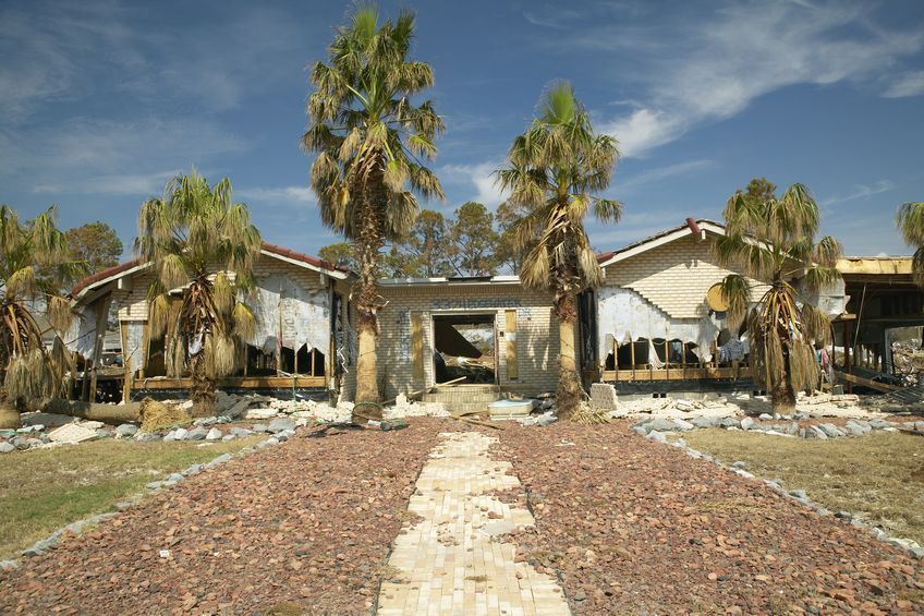 A dilapidated house with missing siding, framed by palm trees; brown path leads to the open entrance.