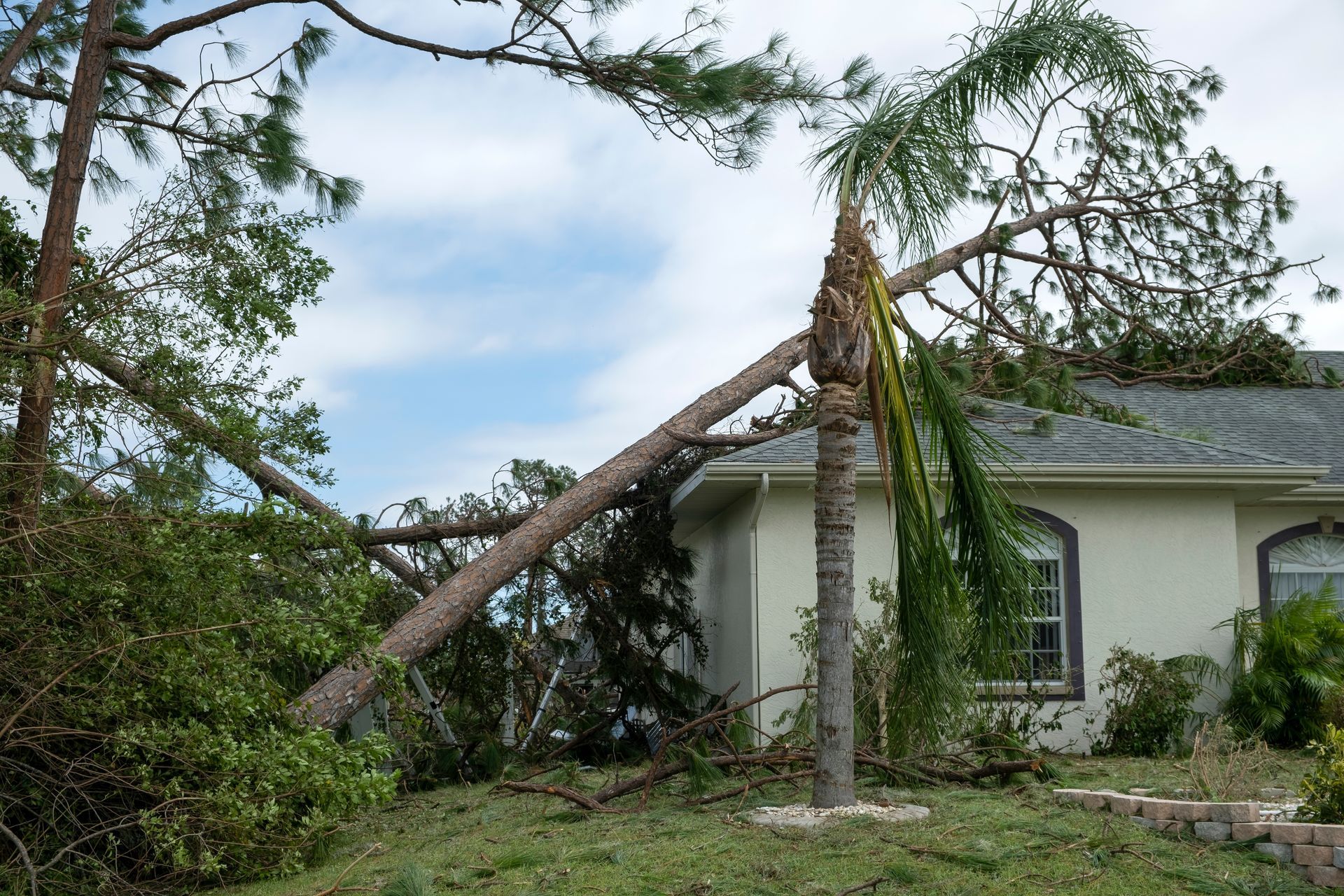 Fallen tree branches on a house roof after a storm. Damaged palm and pine trees, green grass, and blue sky.