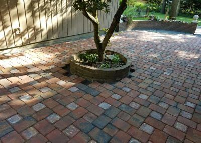A tree in a pot on a brick patio.