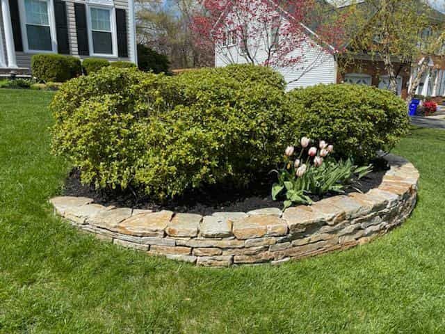 A lush green lawn with a stone wall and bushes in front of a house.