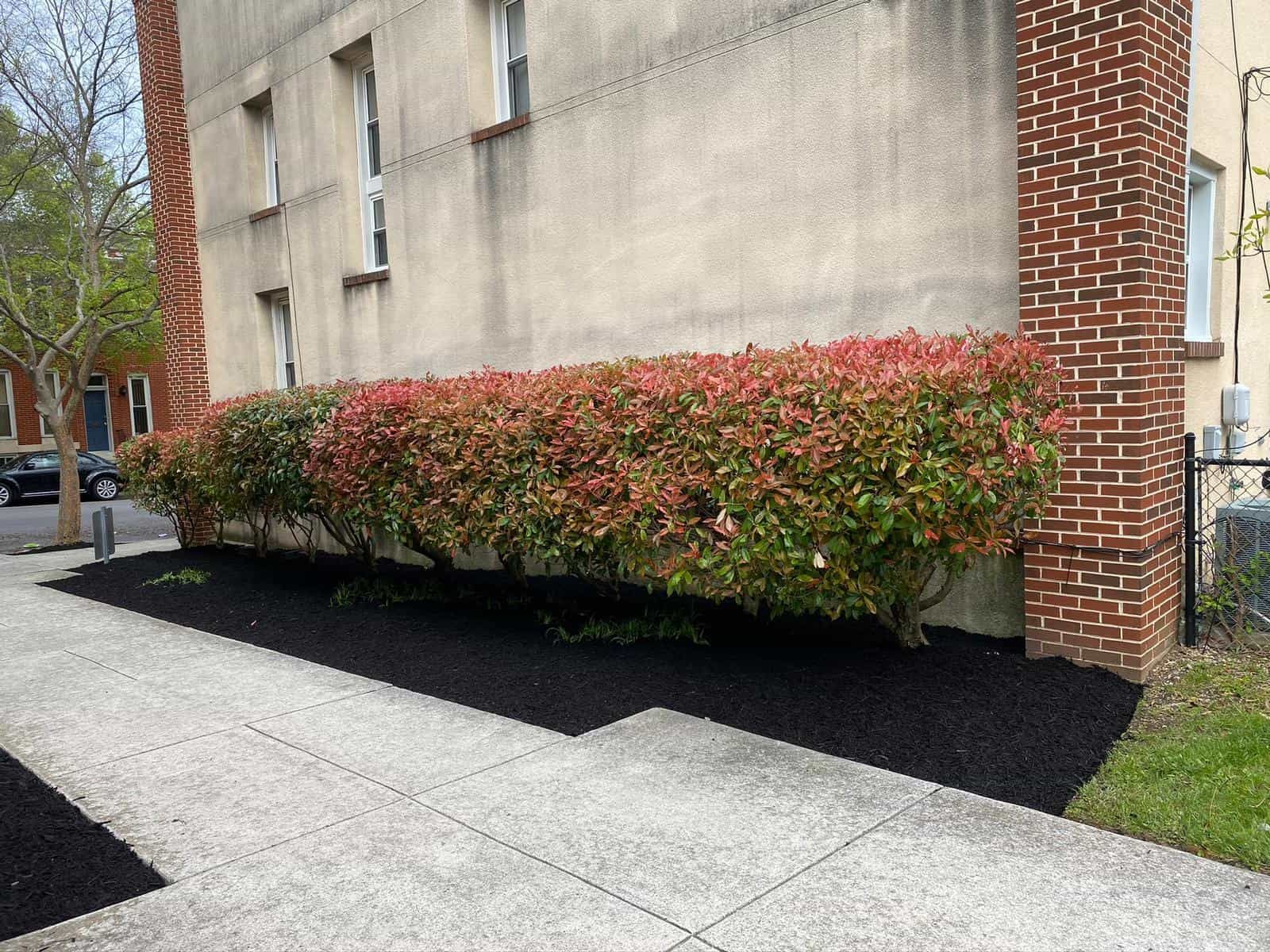 A brick building with a sidewalk and bushes in front of it.