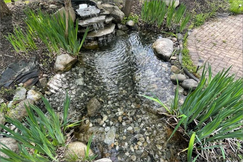 A small pond with a waterfall in the middle of it surrounded by rocks and plants.