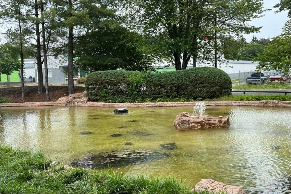 A pond with a fountain in the middle of it