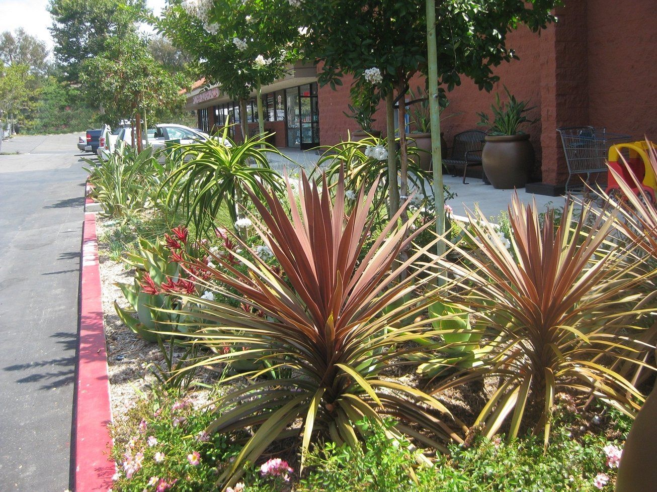 Close Up Look Of Plants — San Bernardino, CA — Richard Pope & Associates