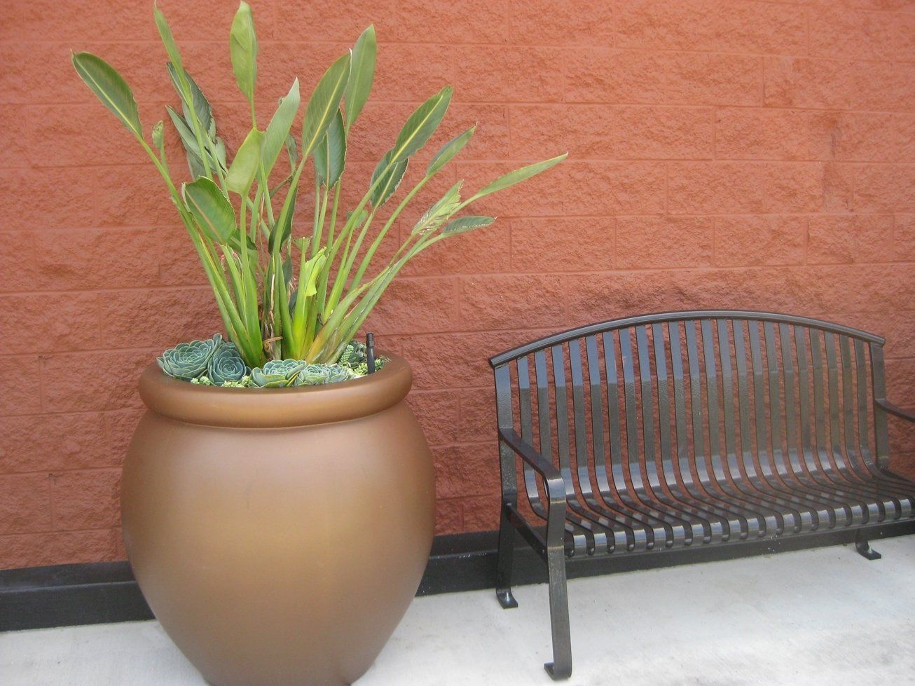 Big Plant Beside The Chair — San Bernardino, CA — Richard Pope & Associates