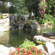 Simple Pond — San Bernardino, CA — Richard Pope & Associates