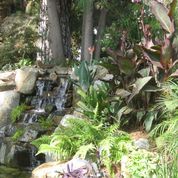 Pond With Small Falls — San Bernardino, CA — Richard Pope & Associates