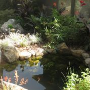Beautiful View Amazing Pond — San Bernardino, CA — Richard Pope & Associates