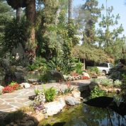 Beautiful View Of Trees And Pond — San Bernardino, CA — Richard Pope & Associates