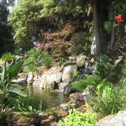 Pond With Rocks — San Bernardino, CA — Richard Pope & Associates