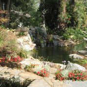 Small Pond With Small Flowers — San Bernardino, CA — Richard Pope & Associates